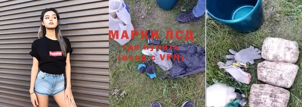 дмт Алзамай