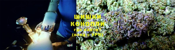 дмт Алзамай