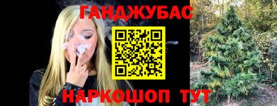 сатива Апшеронск