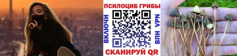 Галлюциногенные грибы MAGIC MUSHROOMS  omg маркетплейс  Асино 