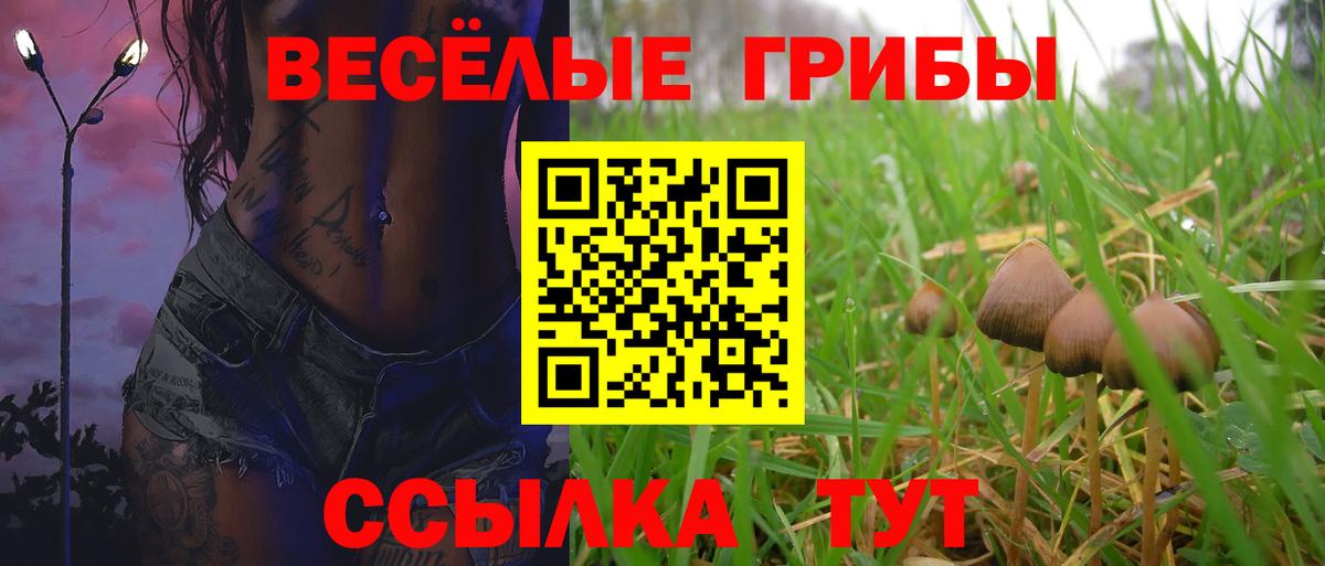 Альфа ПВП СК кристаллы  Асино  Мефедрон кристаллы  Вход с VPN  Меф  Гашиш  Гашиш  Марихуана 