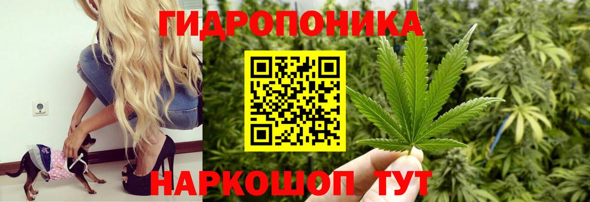 Бошки марихуана AK-47  Марихуана MAZAR  Асино  Каннабис THC 21%  Вход с VPN  Канабис MAZAR 
